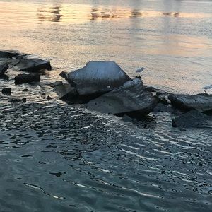 Meet your Posher, Reina